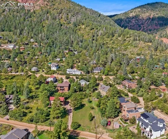 a view of a plant in a garden