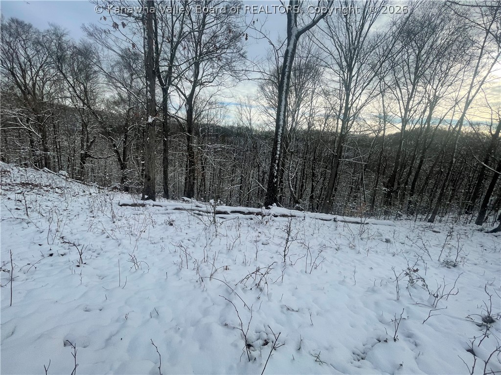 0 Grouse Ridge Sumerco, WV 25567 - Photo 13 of 17 Gallery Image 13