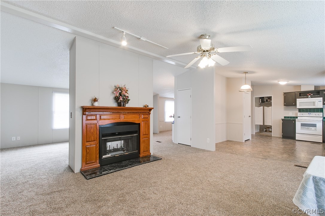 3464 Cedar Plains Road Sandy Hook, VA 23153 - Photo 13 of 43 a view of a livingroom with a fireplace and a chandelier fan