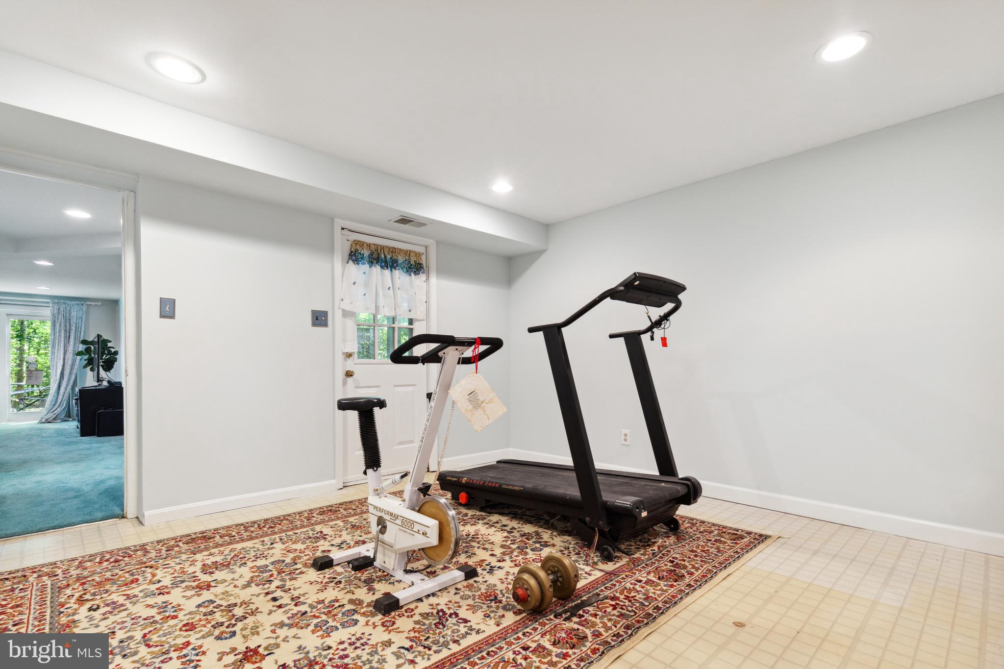 5124 Pheasant Ridge Road Fairfax, VA 22030 - Photo 37 of 53 Egress bonus room