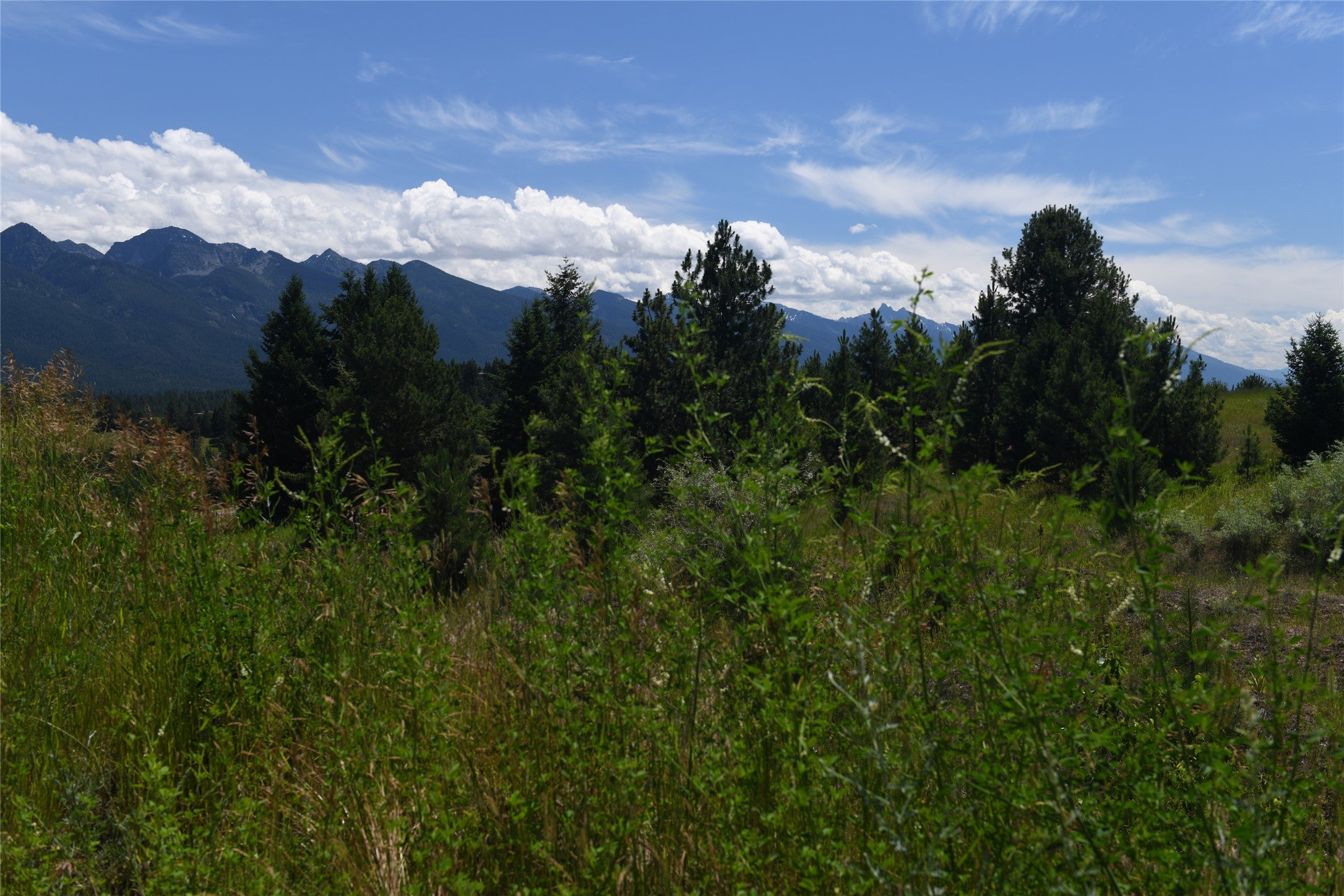 37024 Schafer Road Polson, MT 59860 - Photo 14 of 29 Gallery Image 14