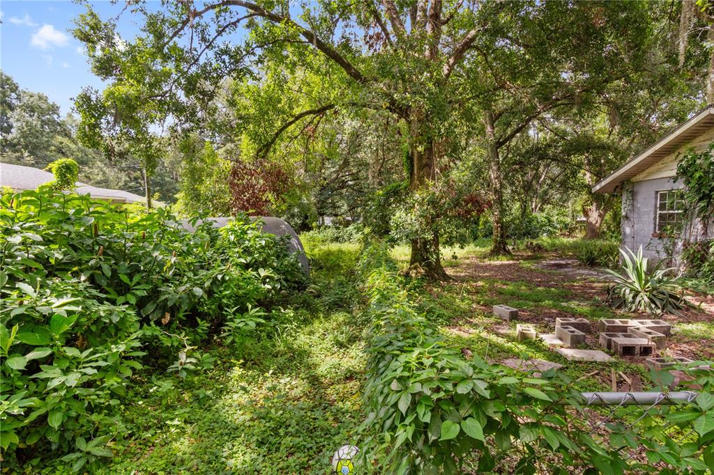 3703 Mt Tabor Road Lakeland, FL 33810 - Photo 3 of 22