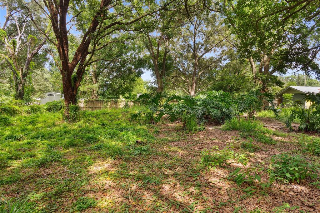 3703 Mt Tabor Road Lakeland, FL 33810 - Photo 4 of 22