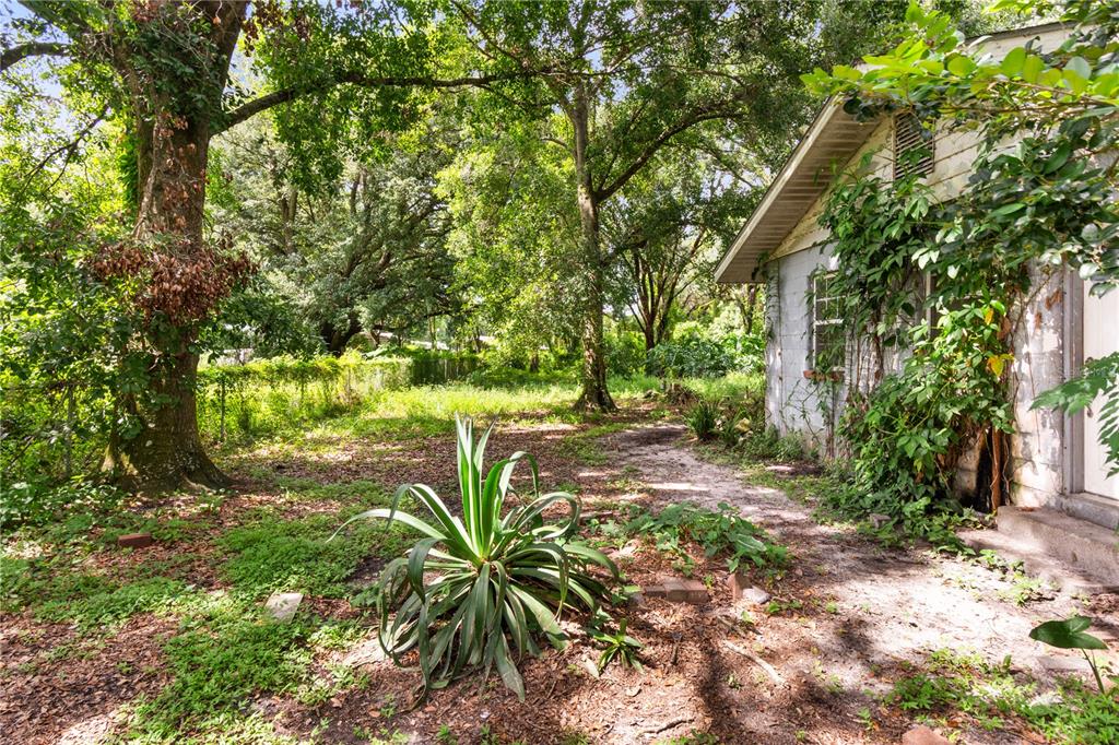 3703 Mt Tabor Road Lakeland, FL 33810 - Photo 7 of 22