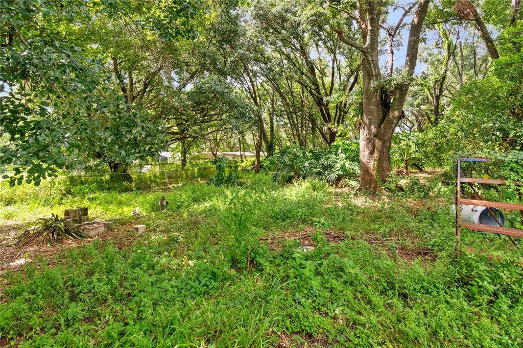 3703 Mt Tabor Road Lakeland, FL 33810 - Photo 8 of 22