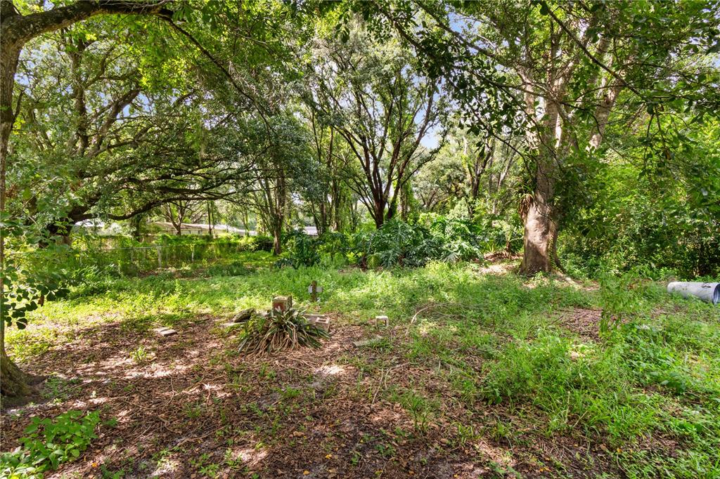 3703 Mt Tabor Road Lakeland, FL 33810 - Photo 9 of 22