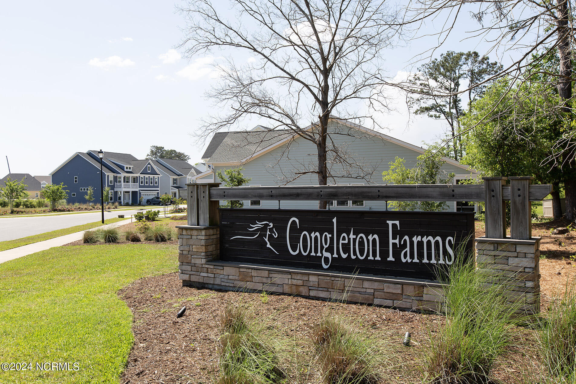 1237 Lt Congleton Road Wilmington, NC 28409 - Photo 3 of 54 congelton Farms entry L33A9097 copy