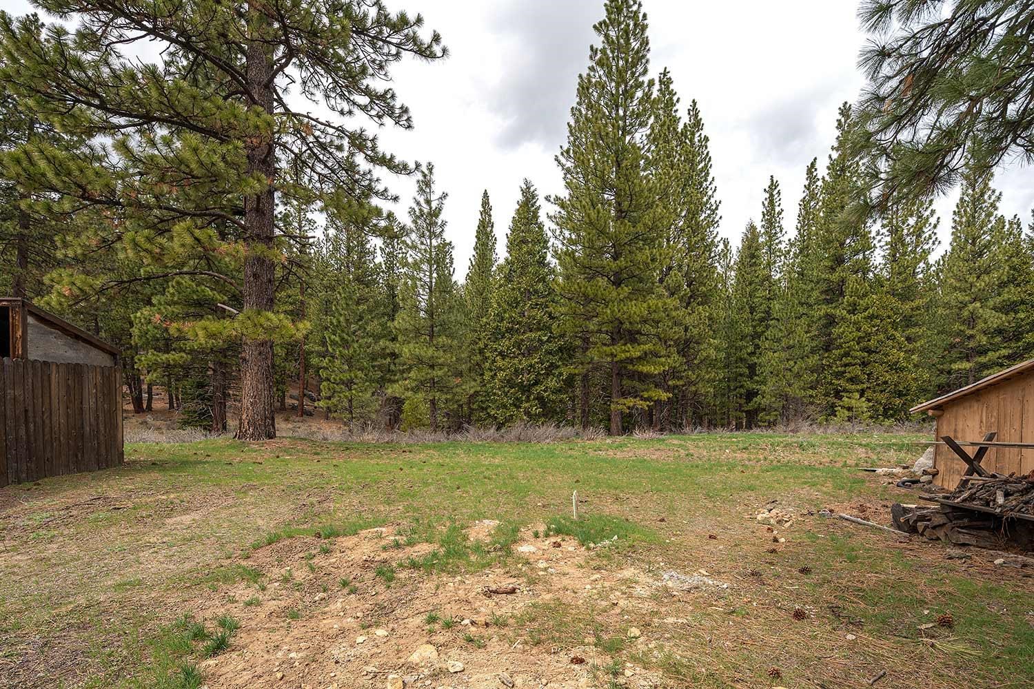 318 Coates Avenue Calpine, CA 96124 - Photo 17 of 21 a view of a yard with trees