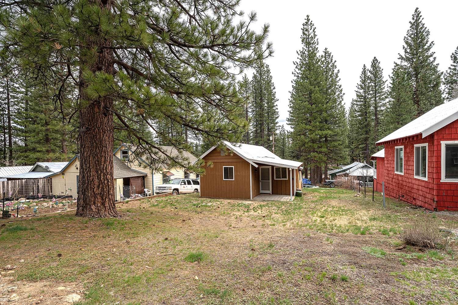 318 Coates Avenue Calpine, CA 96124 - Photo 20 of 21 a house that has a tree in front of the house