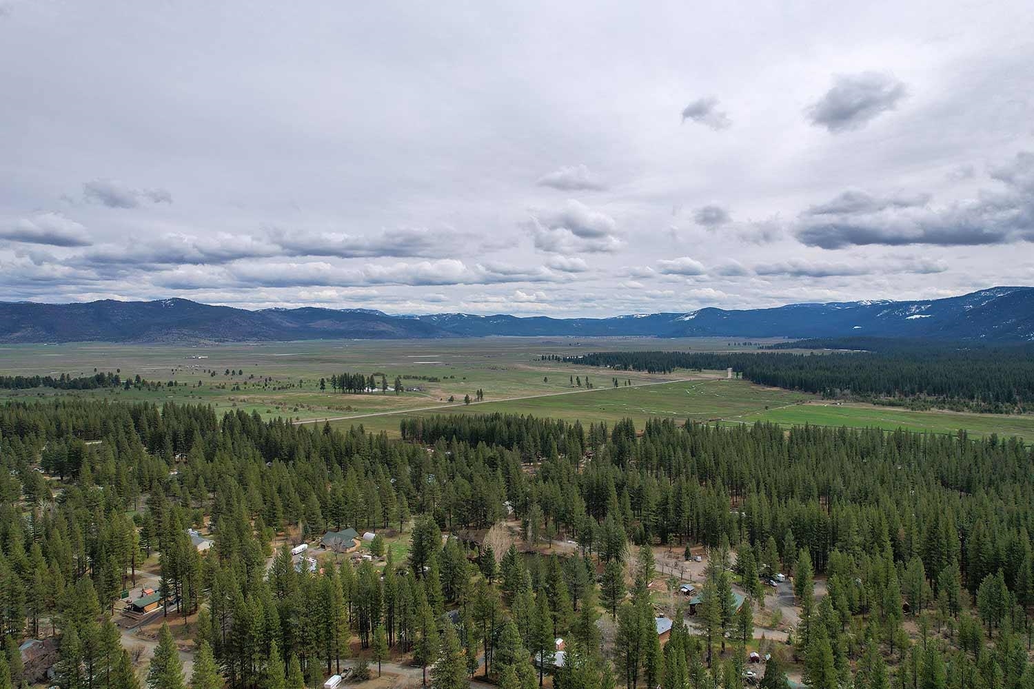 318 Coates Avenue Calpine, CA 96124 - Photo 21 of 21 a view of a city with lush green forest