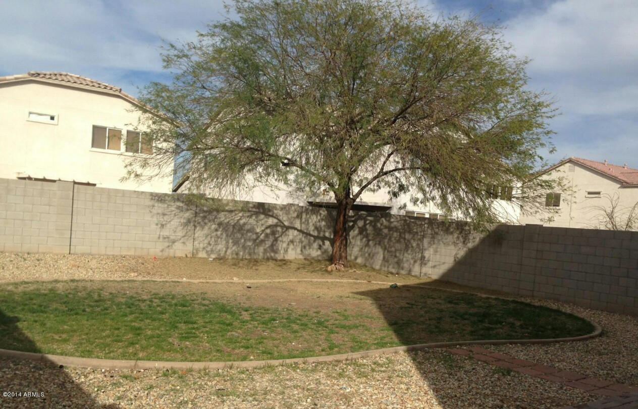 13222 West Redfield Road Surprise, AZ 85379 - Photo 3 of 24 Huge Backyard with grass area for play!