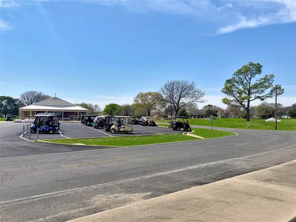a view of a park with a large tree