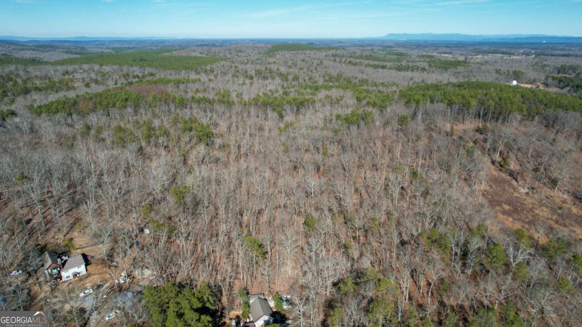 0 Bozeman Road Northwest White, GA 30184 - Photo 12 of 29