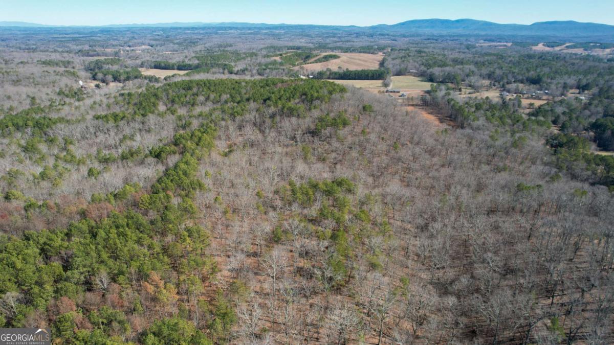 0 Bozeman Road Northwest White, GA 30184 - Photo 13 of 29