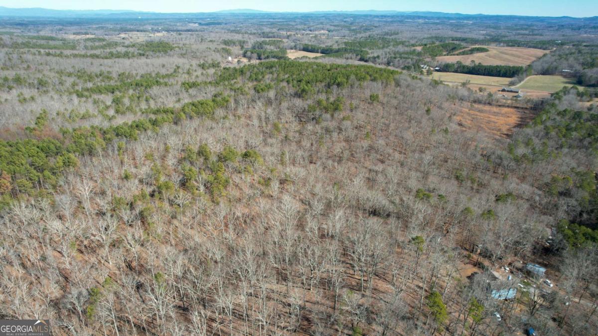 0 Bozeman Road Northwest White, GA 30184 - Photo 15 of 29