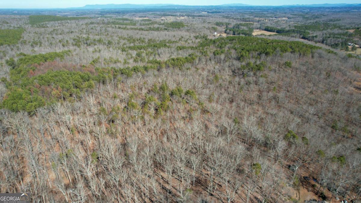 0 Bozeman Road Northwest White, GA 30184 - Photo 16 of 29