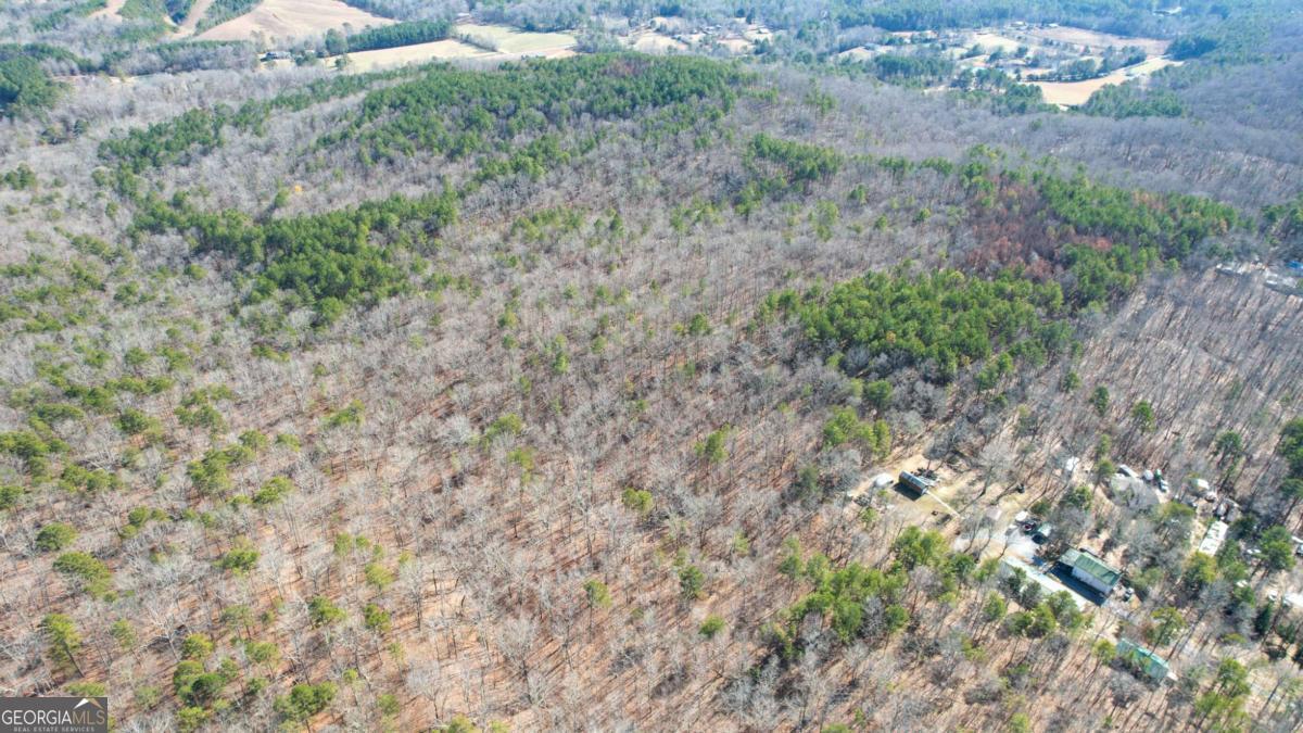0 Bozeman Road Northwest White, GA 30184 - Photo 17 of 29