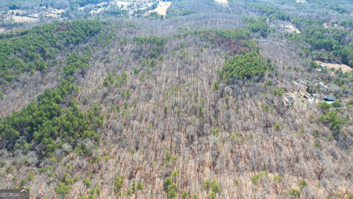 0 Bozeman Road Northwest White, GA 30184 - Photo 18 of 29