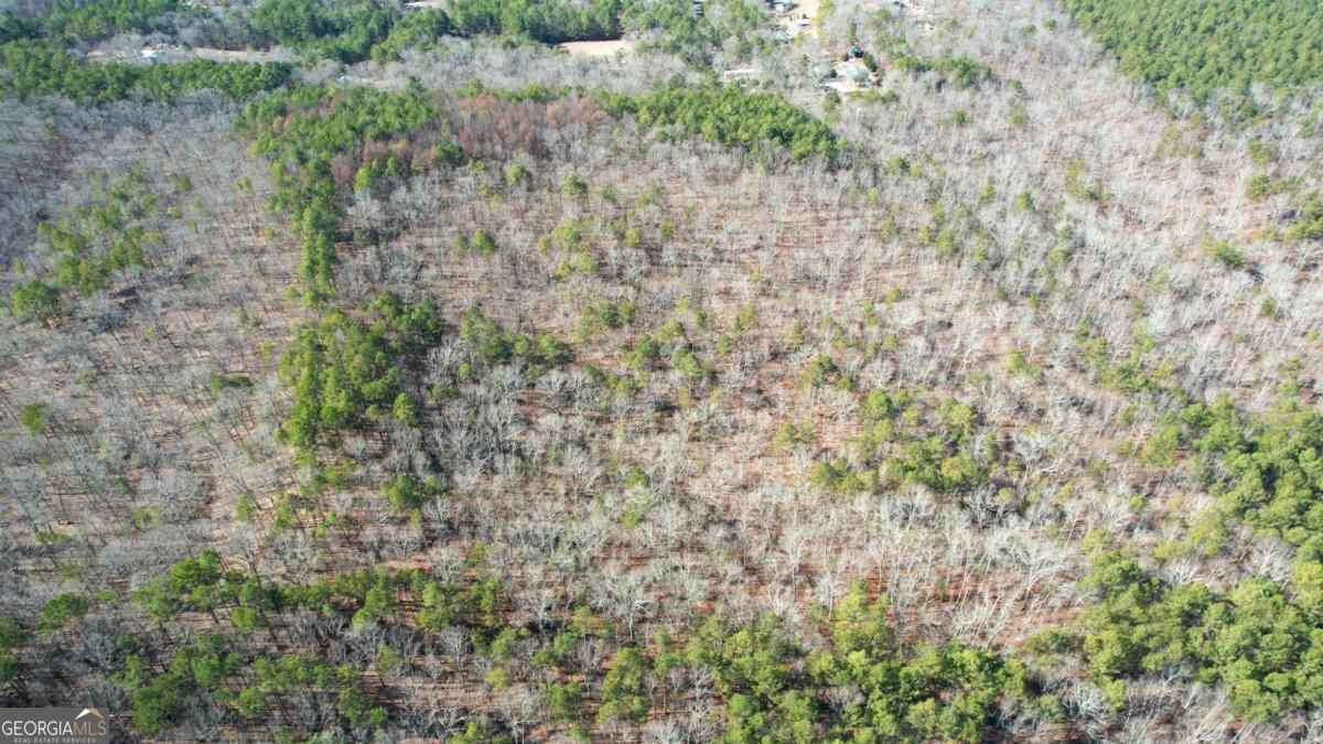 0 Bozeman Road Northwest White, GA 30184 - Photo 19 of 29