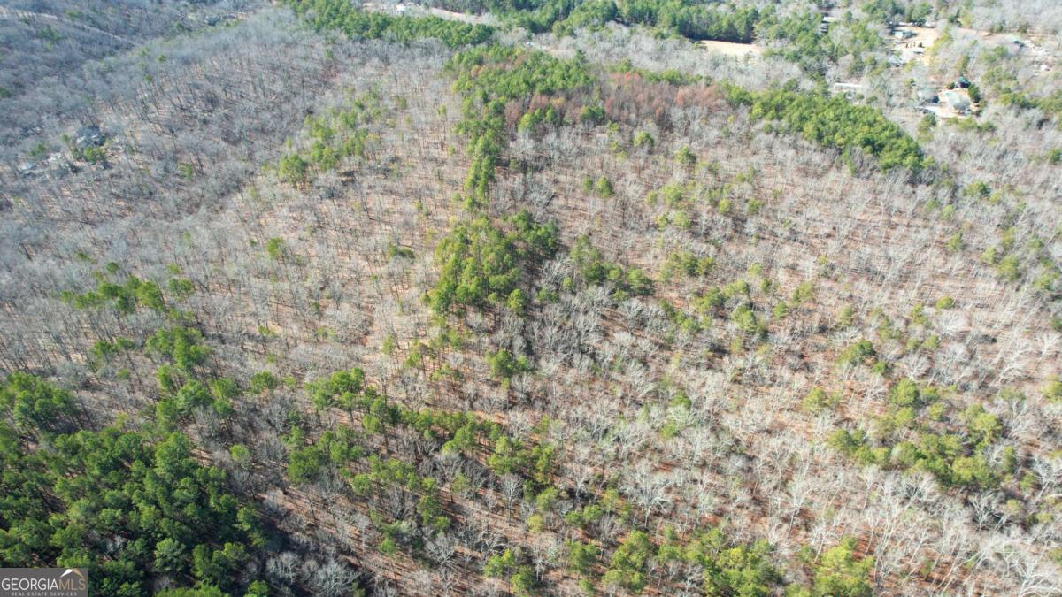 0 Bozeman Road Northwest White, GA 30184 - Photo 20 of 29
