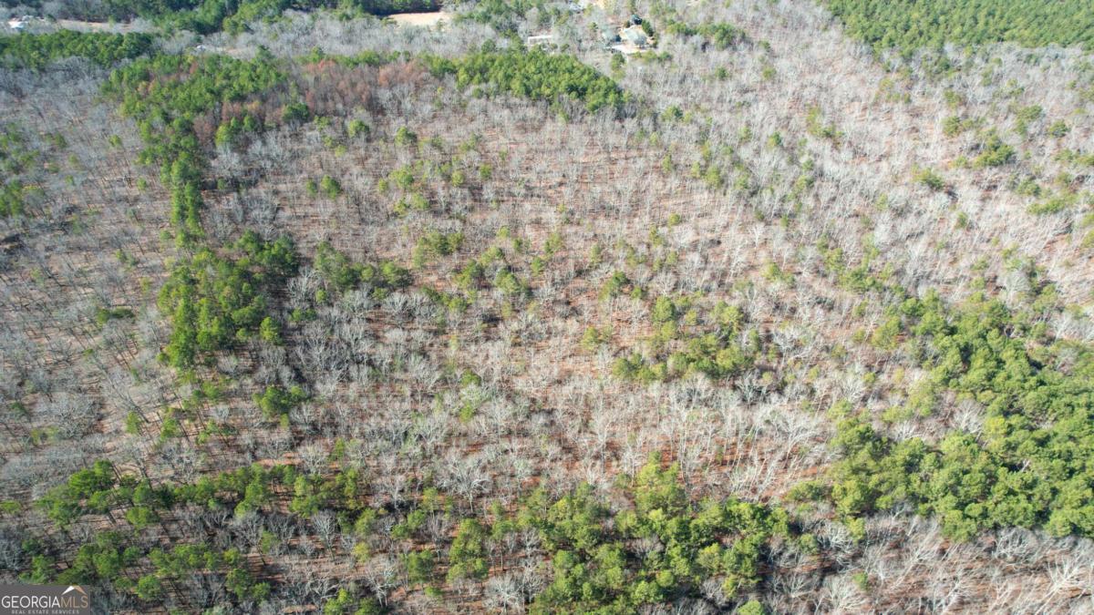 0 Bozeman Road Northwest White, GA 30184 - Photo 21 of 29