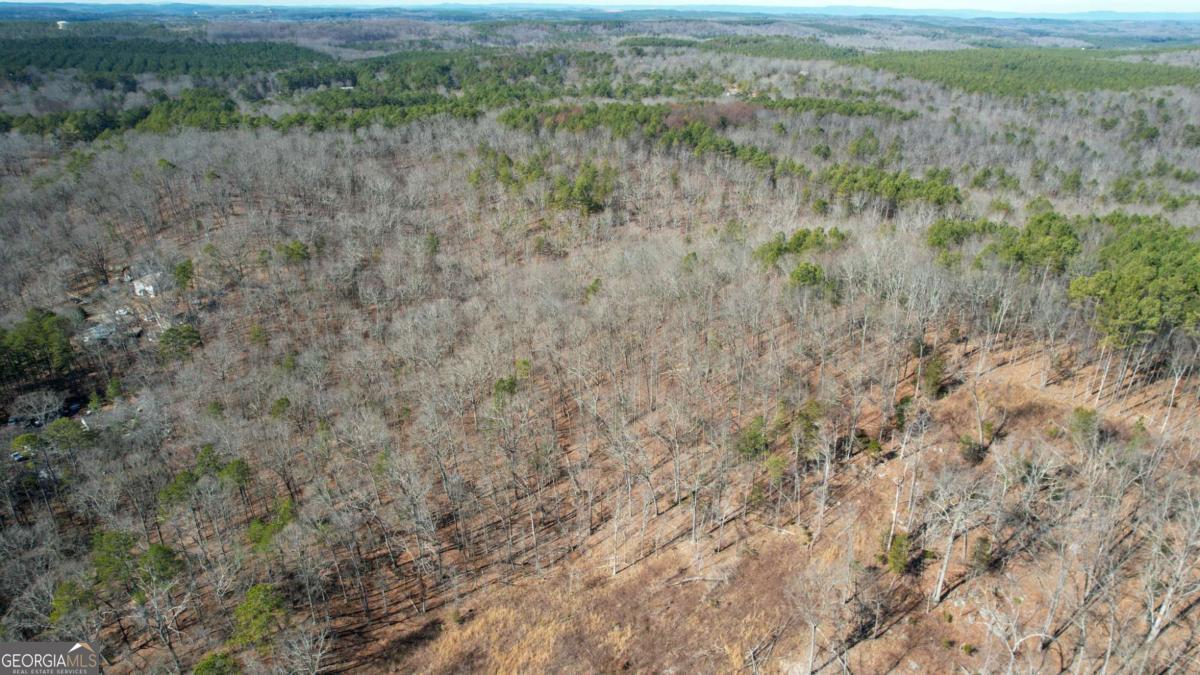 0 Bozeman Road Northwest White, GA 30184 - Photo 26 of 29