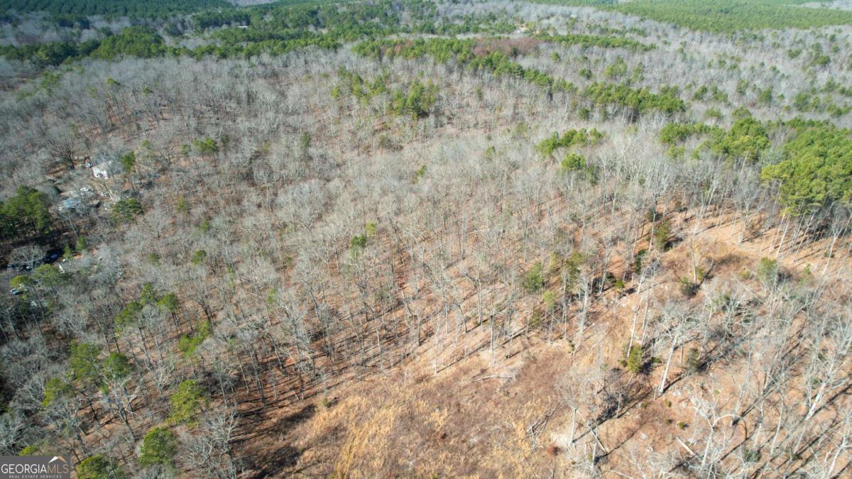 0 Bozeman Road Northwest White, GA 30184 - Photo 27 of 29
