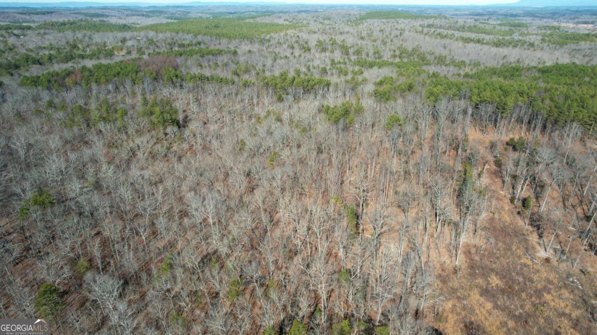 0 Bozeman Road Northwest White, GA 30184 - Photo 28 of 29