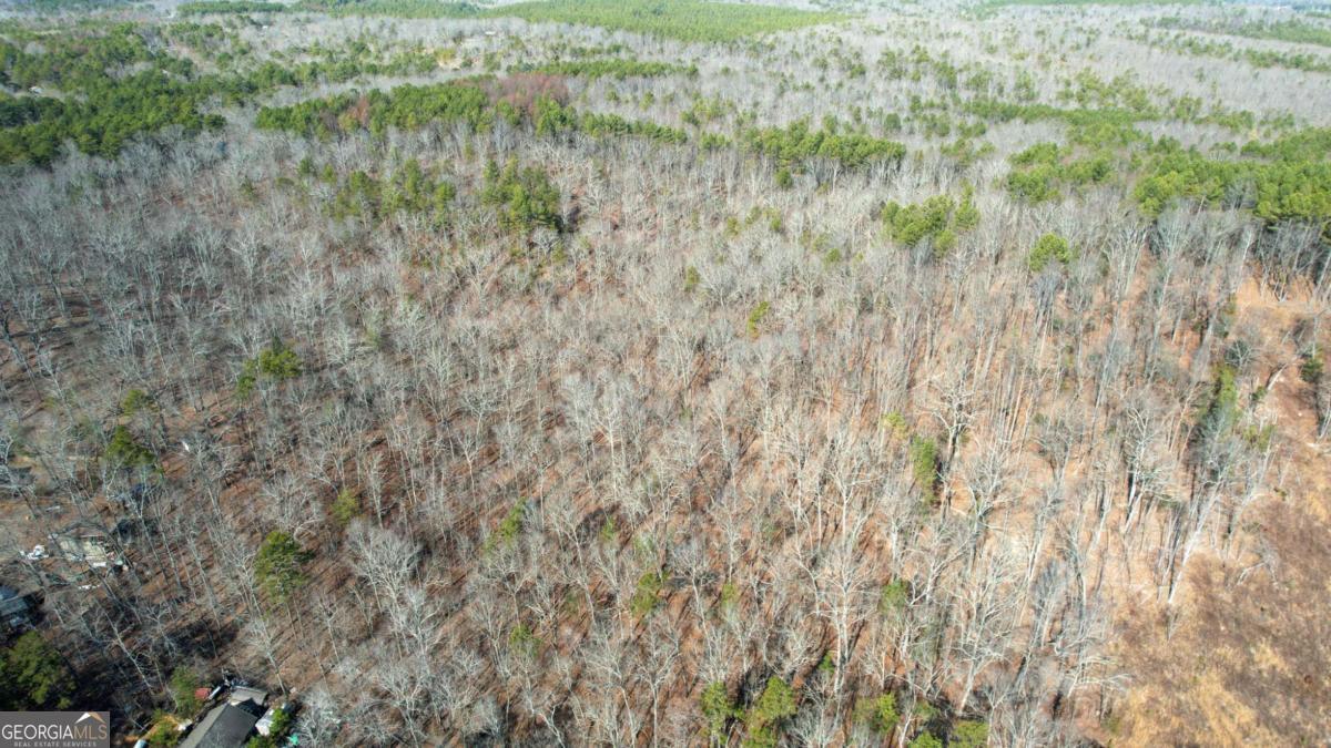 0 Bozeman Road Northwest White, GA 30184 - Photo 29 of 29
