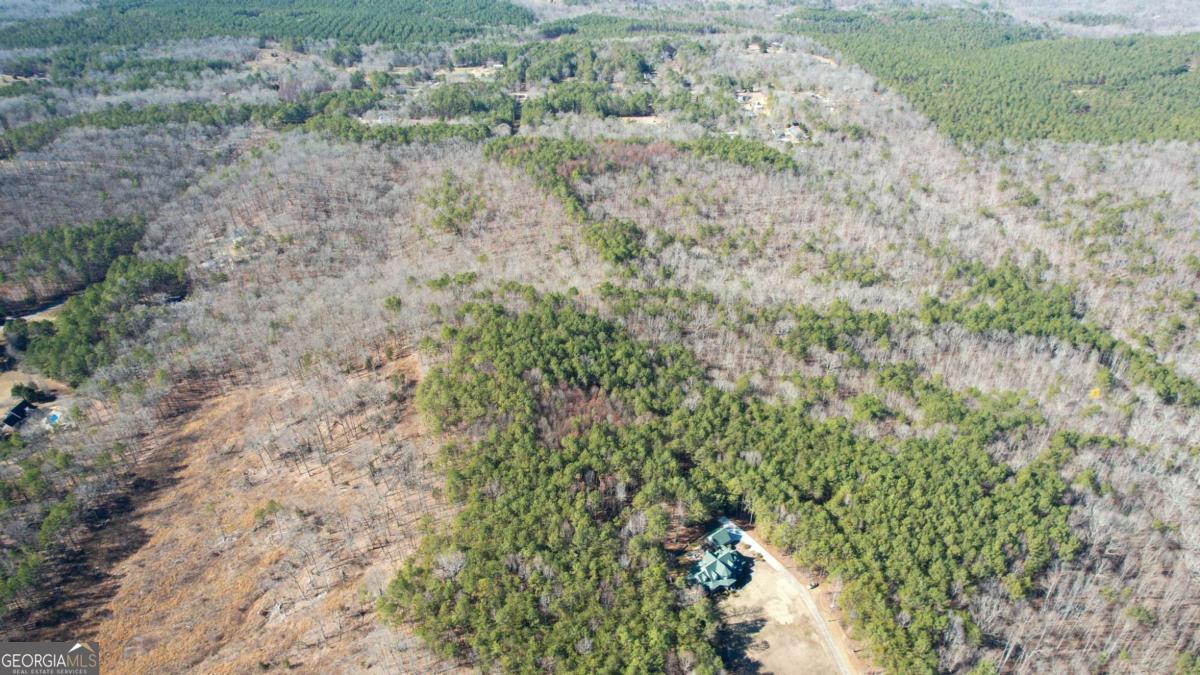 0 Bozeman Road Northwest White, GA 30184 - Photo 5 of 29