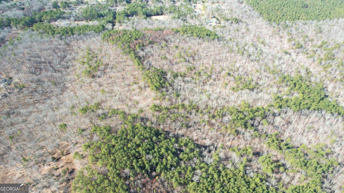 0 Bozeman Road Northwest White, GA 30184 - Photo 7 of 29