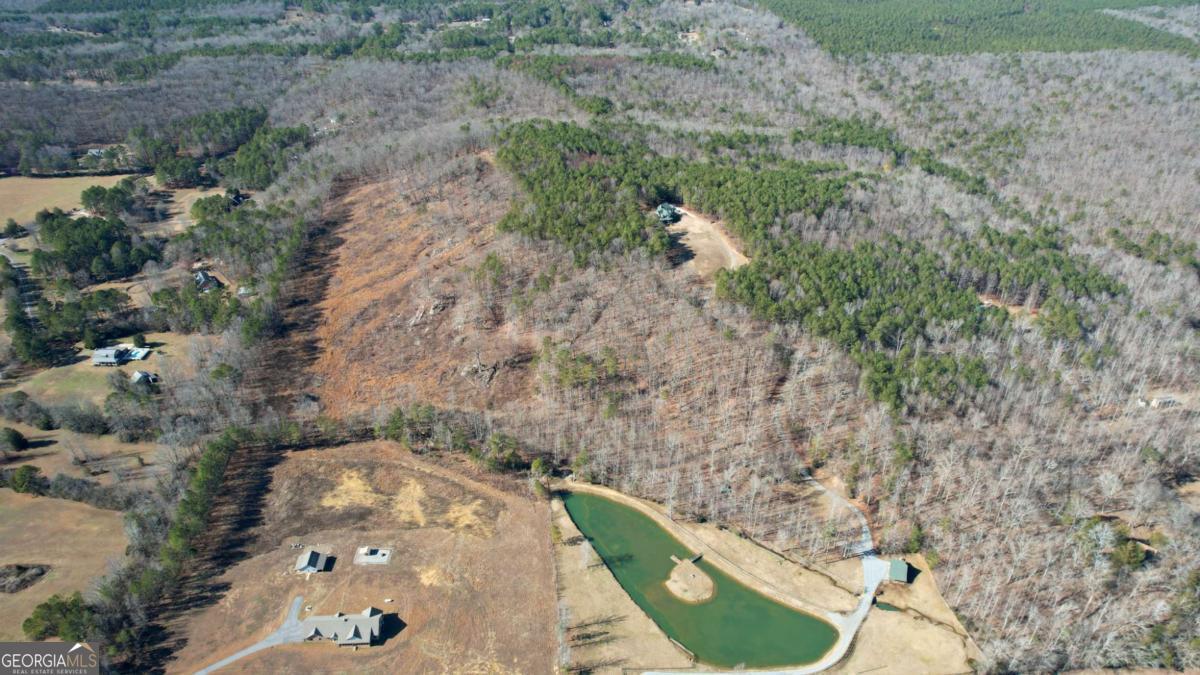 0 Bozeman Road Northwest White, GA 30184 - Photo 9 of 29