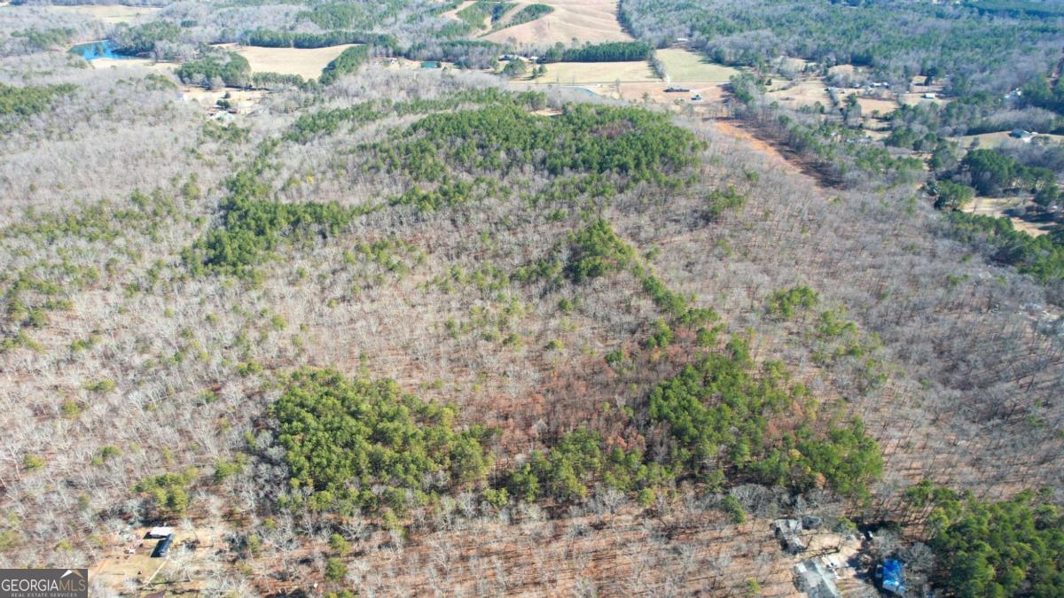 0 Bozeman Road Northwest White, GA 30184 - Photo 10 of 29