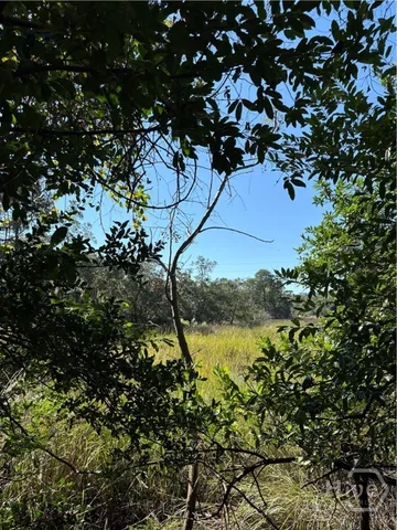 $325,000 | 0 Coffee Bluff Road, Savannah, GA 31419