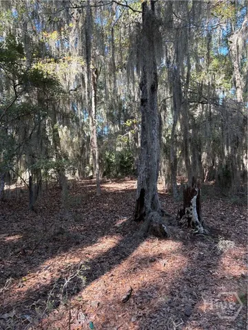 $325,000 | 0 Coffee Bluff Road, Savannah, GA 31419