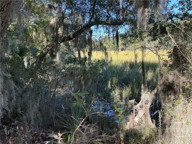 $325,000 | 0 Coffee Bluff Road, Savannah, GA 31419