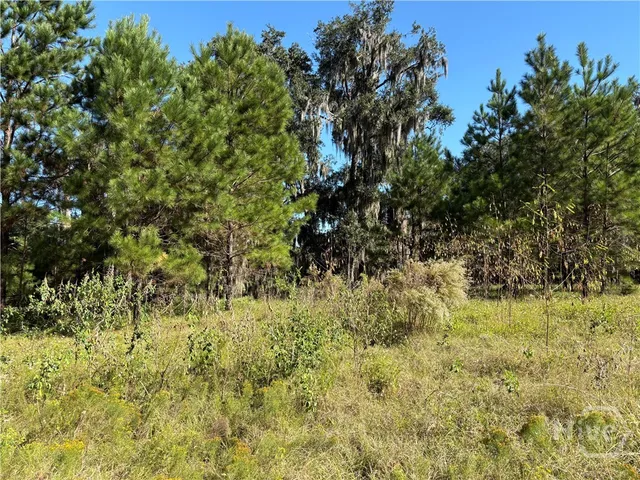 $325,000 | 0 Coffee Bluff Road, Savannah, GA 31419