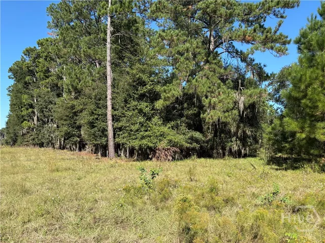 $325,000 | 0 Coffee Bluff Road, Savannah, GA 31419