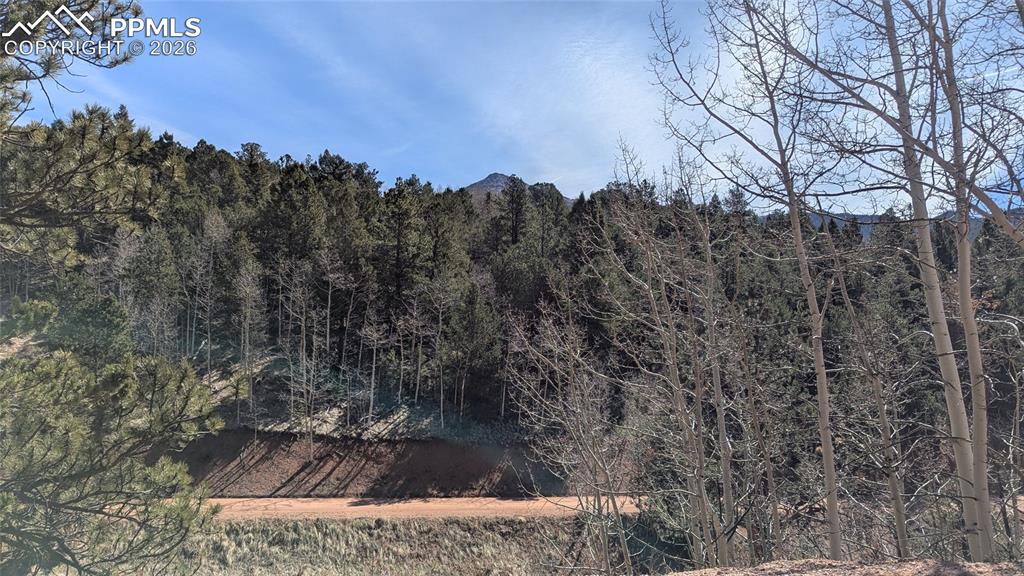 170 Valley Road Divide, CO 80814 - Photo 2 of 6 a view of a tree in front of a yard