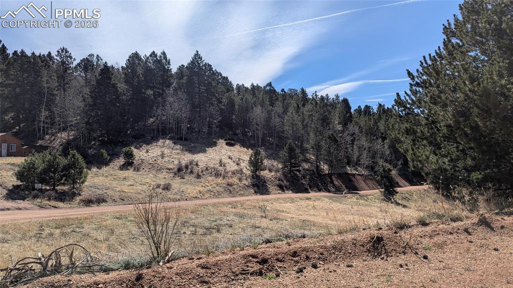 170 Valley Road Divide, CO 80814 - Photo 4 of 6 a view of a snow covered with snow