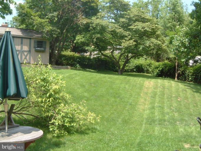 2603 Loma Street Silver Spring, MD 20902 - Photo 7 of 12 Great fenced & treed backyard!