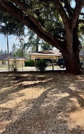 a view of a yard with wooden fence