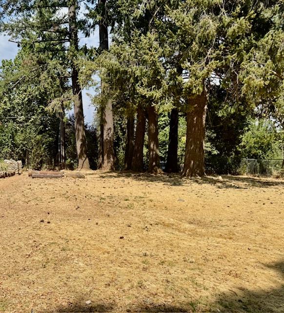 30 Lincoln Street Colfax, CA 95713 - Photo 2 of 2