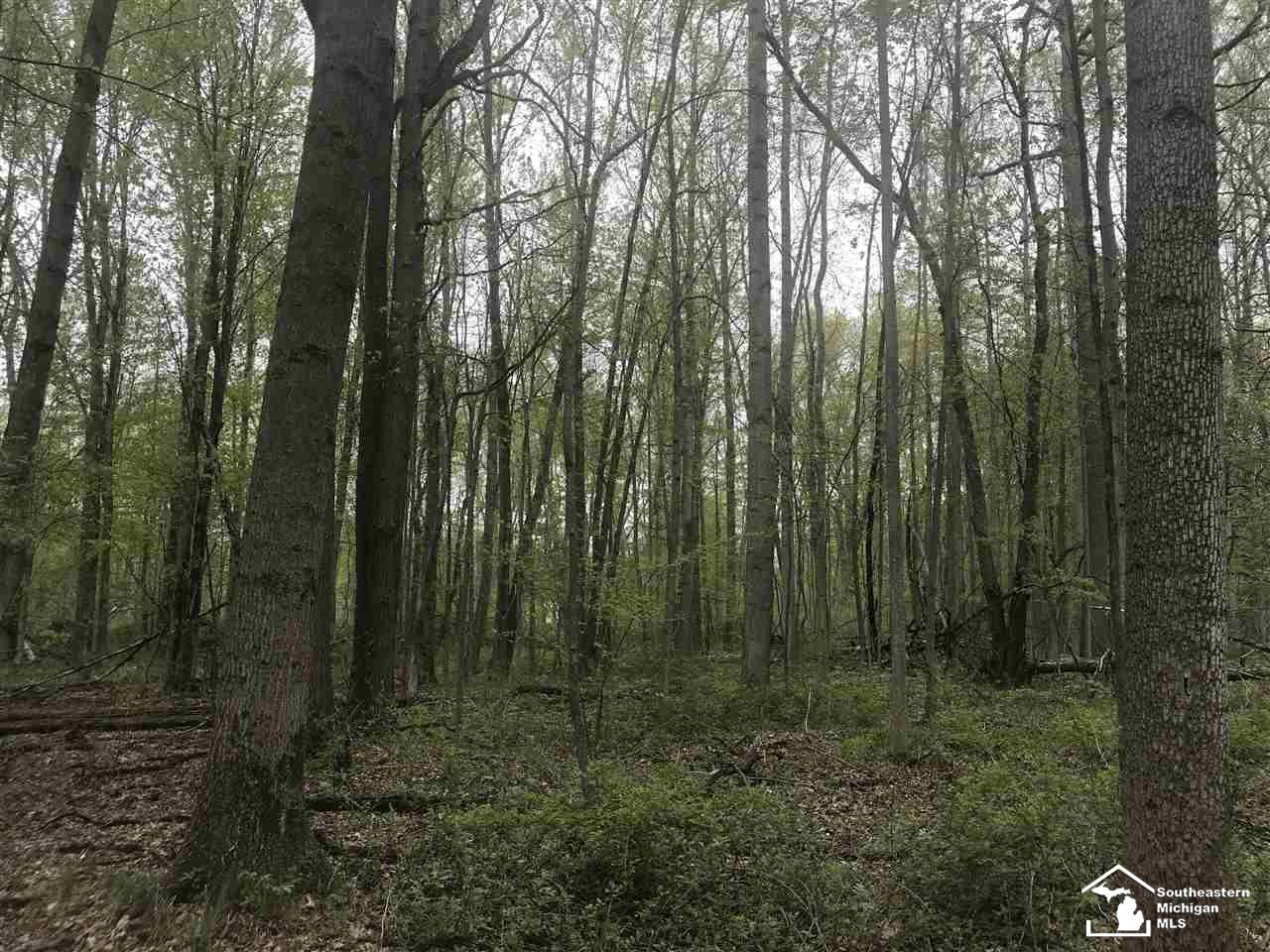 0 Bunton Road Milan, MI 48160 - Photo 4 of 22