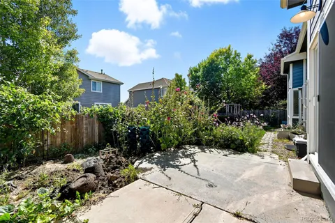 a view of a backyard