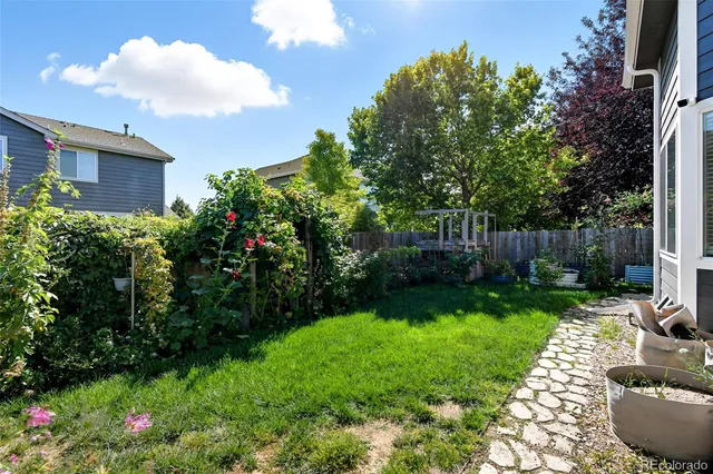 a view of a backyard with plants and a garden