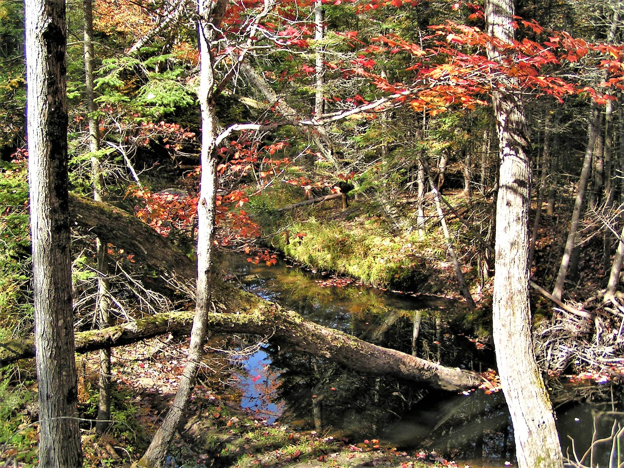 0 Buckfield Road South Paris, ME 04281 - Photo 5 of 11 PICT0036