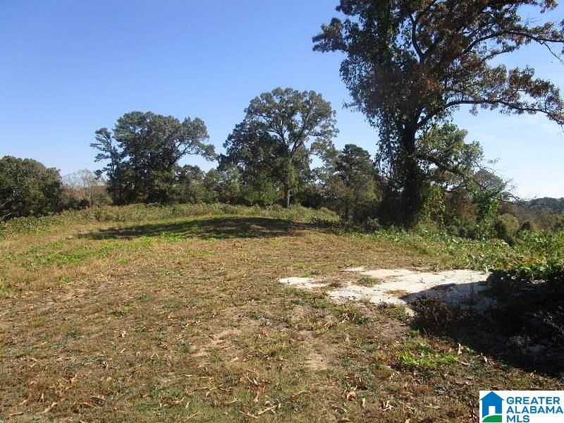 2528 Sayers Road Fultondale, AL 35068 - Photo 15 of 21
