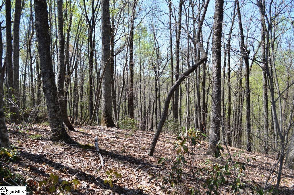 309 Laurel Valley Way Travelers Rest, SC 29690 - Photo 5 of 14