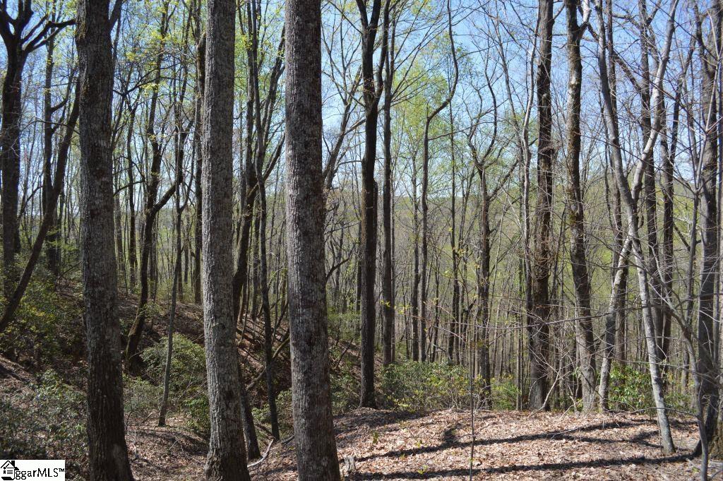 309 Laurel Valley Way Travelers Rest, SC 29690 - Photo 6 of 14